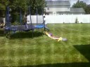 Random Videos in Boy in trampoline 2