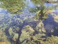 Introduction to food combining www.healthretreats.info