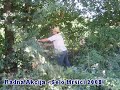 Radna-akcija-Selo-Mr