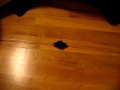 (uploaded by tripppp)&nbsp;Network Retractable Cable