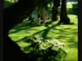 funny-bloopers