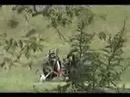 Haggard - (CKY) Viva la Bam Movie Part 1 Haggard - (CKY) Viva la Bam Movie Part 1