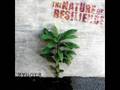 Zygote - Hastings