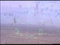 Bird Strike on Hawg