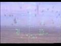 Bird Strike on Hawg