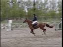 videos de ORFEA B110