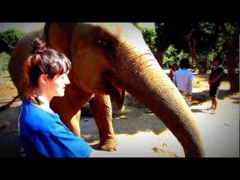 Kerri Feeds an Elephant