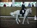 Piloto Do Top at Lake Oswego, Oregon Test 3 - 3