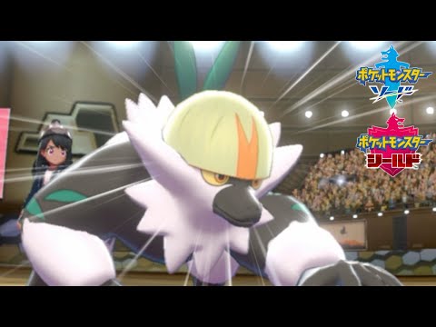 動画