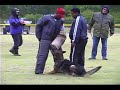 Schutzhund  USA North American FH and SchH Championship