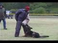 Schutzhund  USA North American FH and SchH Championship