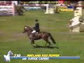 Our Song- Showjumping Our Song- Showjumping