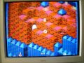 after a successful 46th game of wheel of fortune for the wii, it's now time for my 2nd redemption video of snake rattle n' roll for the nes. the first time i played this game, i got stuck on a jump when i was pretty close to the end of the game. i did a redemption video not very long after that and ended up losing that one just after i made it to the final level. i've done a lot of practice with this game since that 2nd loss, and i've been able to win at this game finally. will i be able to do that in this attempt? you're going to have to watch to find out. enjoy.