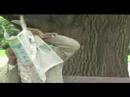 Bombers Commercial Bombers Commercial