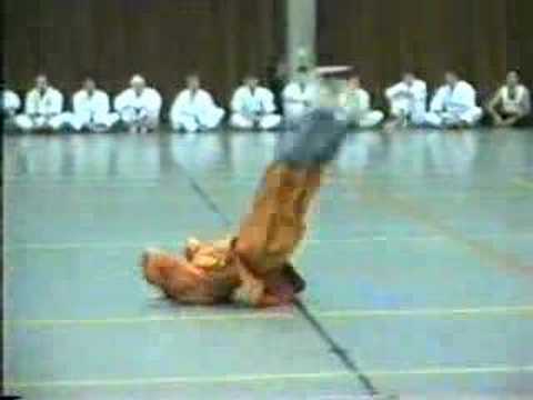 Zhang Li Peng shaolin Ditang