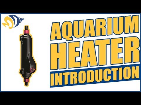 how to adjust fish tank heater