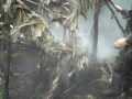 Illegal Hunting Shack