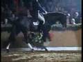 La danse de Sandro Hit
