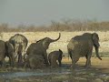 Etosha 13 - Rietfontein - Elefanten 04 Etosha 13 - Rietfontein - Elefanten 04