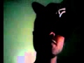 infamous gauge-the mr infamous