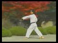 Pumse 2 Taeguk I Chang