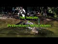 Zwiastun DVD Na karpie z Przemkiem Mroczkiem