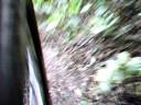 Trialera forestal 7-12-08