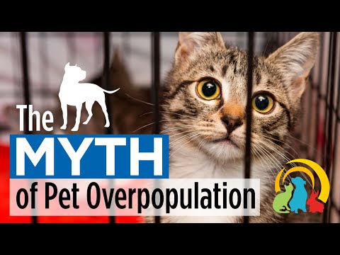 The Myth of Pet Overpopulation