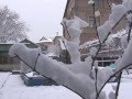 Tashkent Winter Wonderland