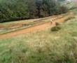 tom crashing at hornton motocross track