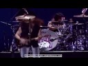 videos de me vale en vivo mana