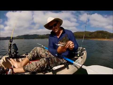 how to measure mud crab size qld