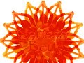 temple of the dog  audio slave   cochise   your saviour