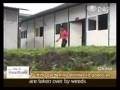 20081002 Landscaping in Tzu Chi Sichuan prefabricated school