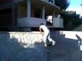 Parkour running in Veles CoCe vs. JeezY
