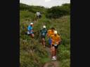 Corredores de Rua de Curitib@