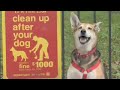 Helvetica Film Official Trailer Helvetica Film Official Trailer