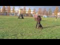 Drake Drago - poslušnost 11.11.07