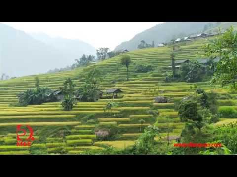 [Tập 1 - Khám phá Việt Nam cùng Robert Danhi] Hà Giang - Cao nguyên đá nở hoa (HD)
