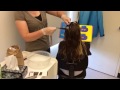 Head Lice Information for Parents
