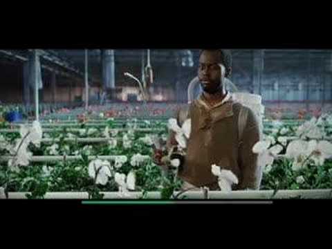 Imagen de previsualización de YouTube