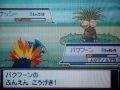 Pokemon Heart Gold Walkthrough 70 - King Snorlax - free flv video @ vwatch.tv