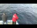 november pollock fishing 2