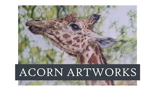 Giraffe in Coloured Pencil (Full Tutorial)