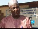 Cotton crisis in Mali Cotton crisis in Mali
