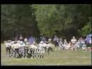 edgewood joppatowne steelers edgewood joppatowne steelers