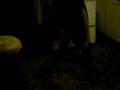 my spongebob dance