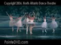 nutcracker snow pas de deux and waltz of the snowflakes