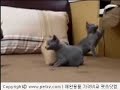 너무 귀엽잖아!So cute!