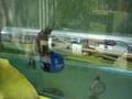 videos de Submarinos RC: test de WTC sistema de lastre estático